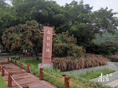 汕尾市城區(qū)這兩條示范帶, 帶 出多個(gè)美麗鄉(xiāng)村