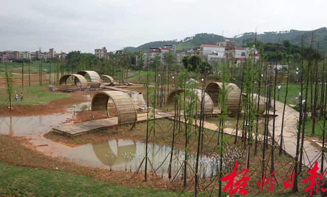 親水景觀點(diǎn)綴濕地生態(tài)園