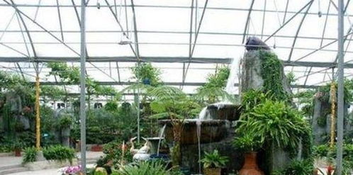 華東地區(qū)最大的農(nóng)業(yè)生態(tài)觀光園 豐樂(lè)生態(tài)園