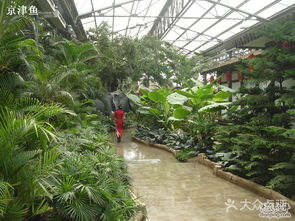 銀東生態園 江南水鄉的詩意畫卷