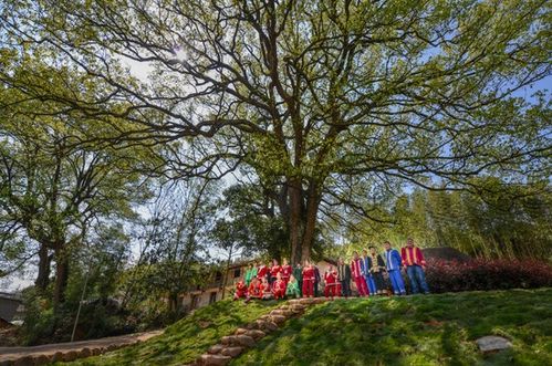 浙江擘畫詩路文化新藍(lán)圖 九市聯(lián)動，生態(tài)為基，打造中華文脈傳承創(chuàng)新帶