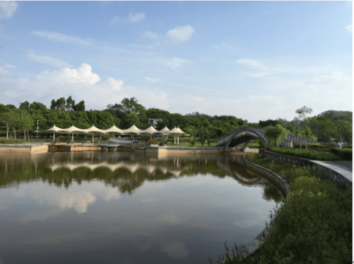 東進(jìn)下的坪山，你還認(rèn)識嗎？探秘生態(tài)園新篇